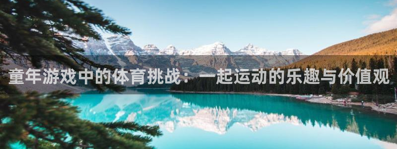 意昂5Kgame2登录地址：童年游戏中的体育挑战：一起运动的乐趣与价值观