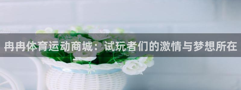 意昂5Kgame体育平台开号链接：冉冉体育运动商城：试玩者们的激情与梦想所在