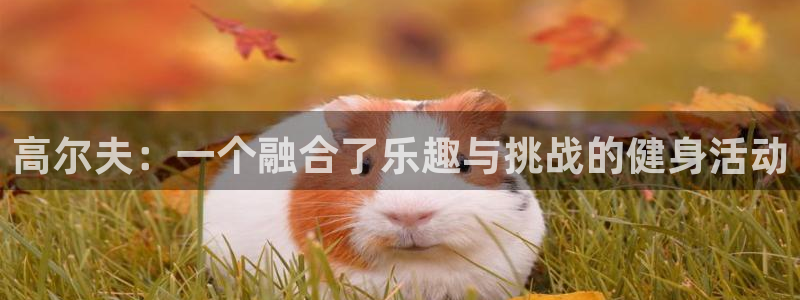 上海意昂5Kgame汽车电子有限公司