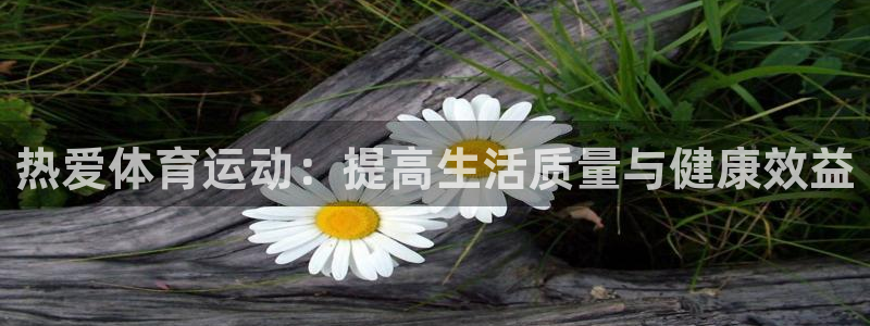 意昂5Kgame：热爱体育运动：提高生活质量与健康效益