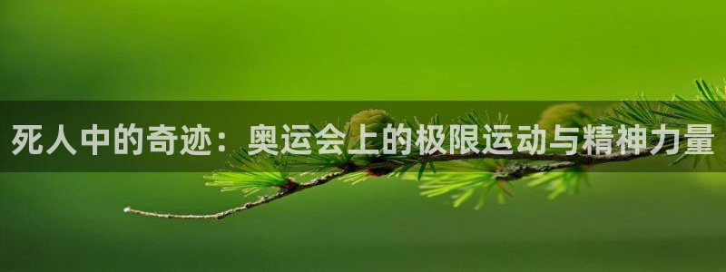 意昂5Kgame登录：死人中的奇迹：奥运会上的极限运动与精神力量