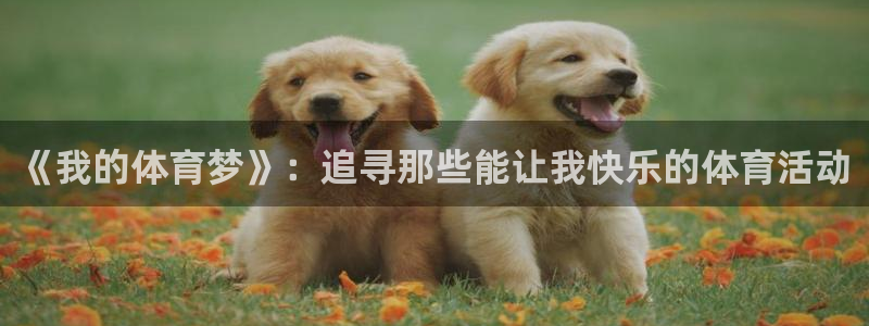 意昂5Kgame5：《我的体育梦》：追寻那些能让我快乐的体育活动