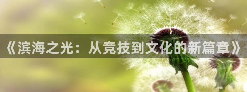 意昂5Kgame电子有限公司：《滨海之光：从竞技到文化的新篇章》
