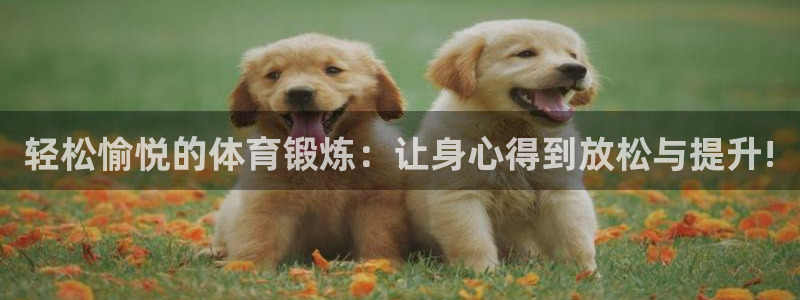 意昂5Kgame体育：轻松愉悦的体育锻炼：让身心得到放松与提升!