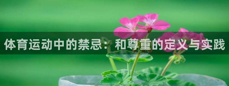 意昂5Kgame体育2：体育运动中的禁忌：和尊重的定义与实践