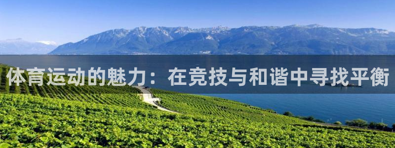 意昂5Kgame体育游戏：体育运动的魅力：在竞技与和谐中寻找平衡