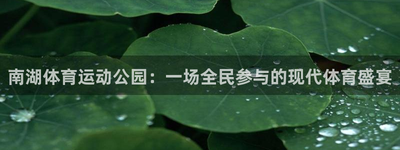 意昂5Kgame官网入口：南湖体育运动公园：一场全民参与的现代体育盛宴