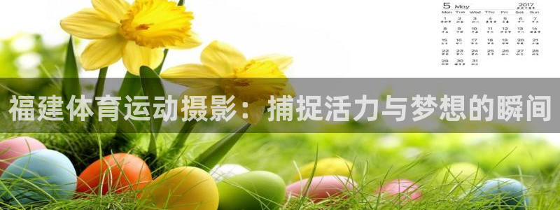 意昂5Kgame平台：福建体育运动摄影：捕捉活力与梦想的瞬间