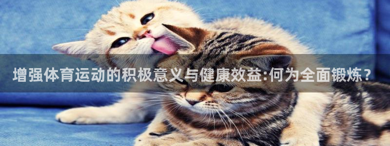 成都意昂5Kgame电子有限公司：增强体育运动的积极意义与健康效益:何为全面锻炼
