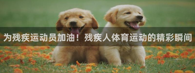 意昂5Kgame3官网：为残疾运动员加油！残疾人体育运动的精彩瞬间