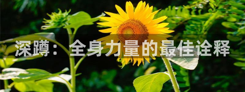 意昂5Kgame平台注册：深蹲：全身力量的最佳诠释