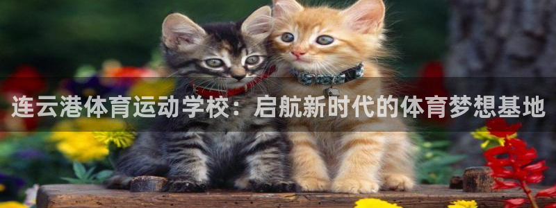 意昂5Kgame体育凯捷平台招商：连云港体育运动学校：启航新时代的体育梦想基地