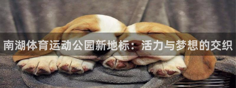 意昂5Kgame体育3：南湖体育运动公园新地标：活力与梦想的交织