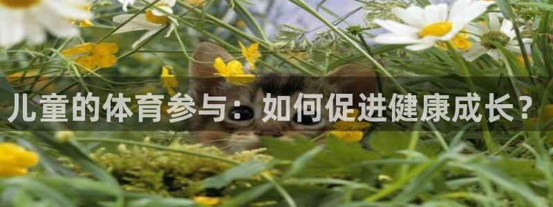 意昂5Kgame体育官网登录：儿童的体育参与：如何促进健康成长？