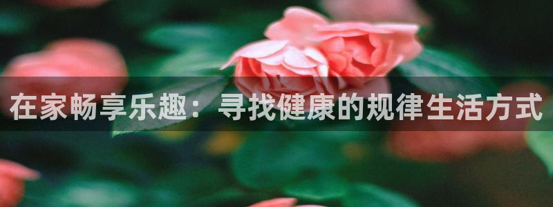意昂5Kgame体育老板是谁：在家畅享乐趣：寻找健康的规律生活方式