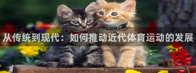 意昂5Kgame2注册：从传统到现代：如何推动近代体育运动的发展