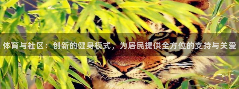 意昂5Kgame3：体育与社区：创新的健身模式，为居民提供全方位的支持与关爱